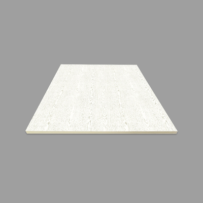 Wpc Wewnętrzna okładzina ścienna Antykorozyjna 1220 mm x 2600 mm x 9 mm